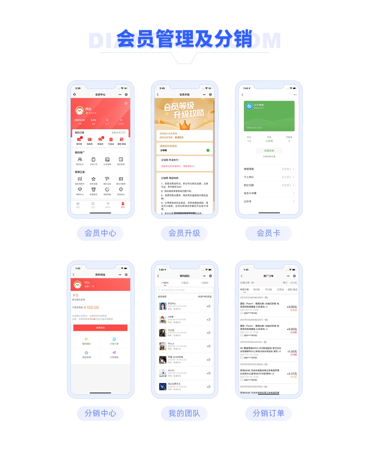 丽志甄选APP